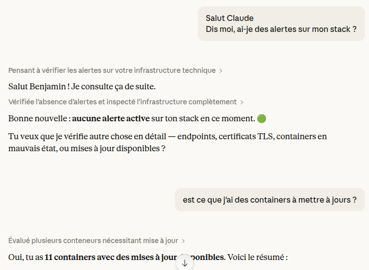 AI assistant querying maintenant via MCP
